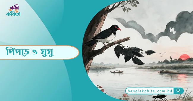 পিঁপড়ে ও ঘুঘু